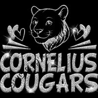 GLT88 SILVER GLITTER Thumbnail