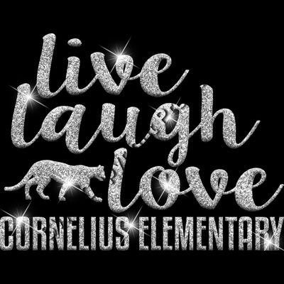 GLT48 SILVER GLITTER Thumbnail