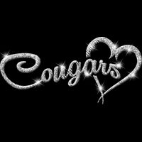 GLT6 SILVER GLITTER Thumbnail