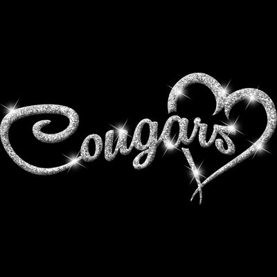 GLT6 SILVER GLITTER Thumbnail