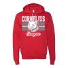 3719 Unisex Sponge Fleece Hoodie Thumbnail