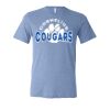 3413 Adult Extra Soft Tri-blend Tee Thumbnail